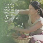 Lifepak® Nano Anti-aging Multivitamin Supplements - Image 3
